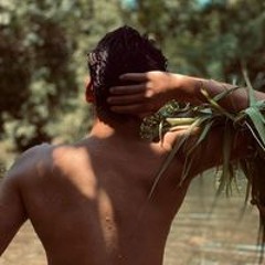 patatotonpoto