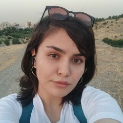 Fatemeh Mk