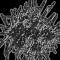DEMOGORGON (RDextras)