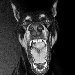 kino