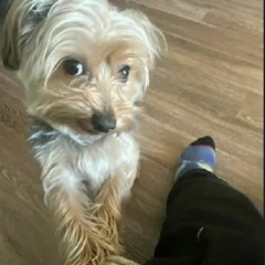 RaqBaby - Glock Clan