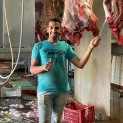 مصطفي مطرية