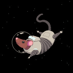 Spac3Rat