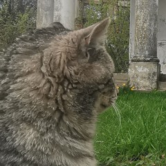 Vero.ni_