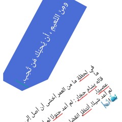 amr wadah