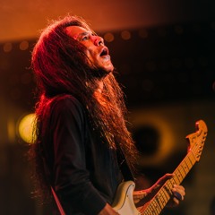 Maeken Beaver