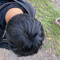 ZAINEDETALLES