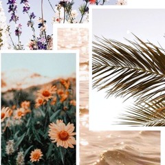 ꌃꏂꍏ ꒒ꌩŭ̈๛㋡