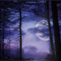 Moonlit Forest