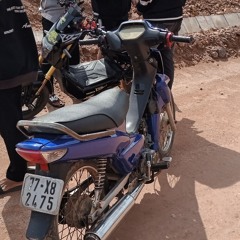 Sơn tiển