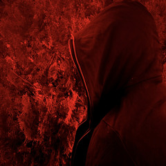 apothecary_music
