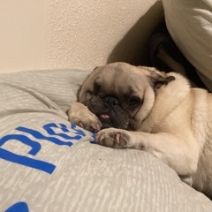 Ashley Scott🍻❤️