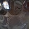 SELLFISH