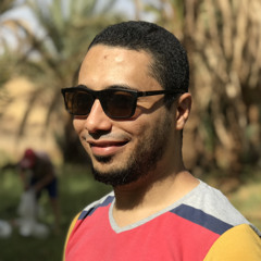 amr07egy