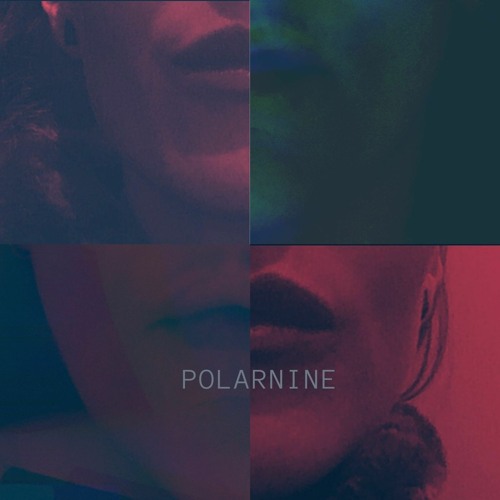 PolarNine’s avatar