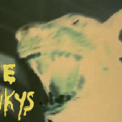THE JUNKYS