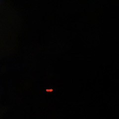 1000m7