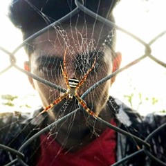 pnkoz