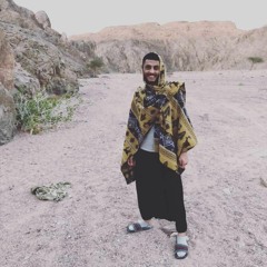 Shady Ahmed
