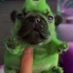 Leonardo Quiroz-Ramos