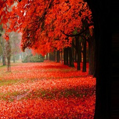 THE REAL SHOW KINGZMANYG