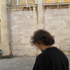 Sébastien de Meulemeester