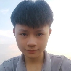 Trịnh Việt Hoàng