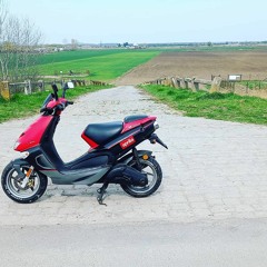 Bazsi Molnár