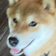 vurbon