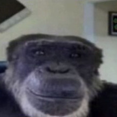 jAmal