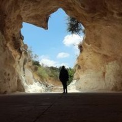 جمانه عبد القادر