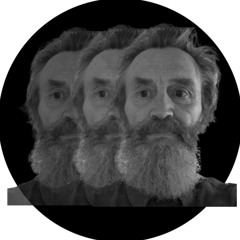 Taibhsí sa Meaisín (Ghosts in the Machine)