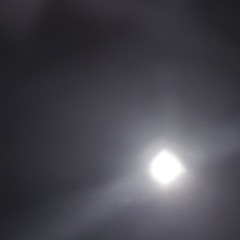 BARYA