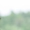 Nguyn_Tn