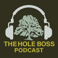 theholeboss