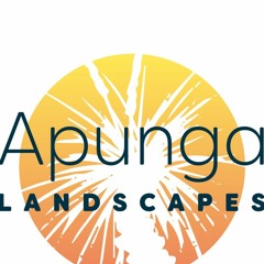 Boost Curb Appeal and Value: The Advantages of Professional Landscaping for New Homes