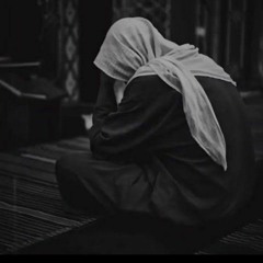 Mohamed R Kamel