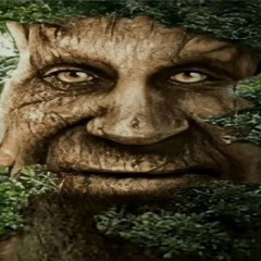 Sn4