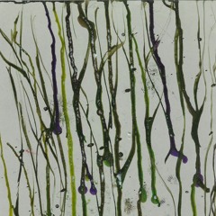 o som de mercúrio ☿