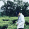 Chấn Phong