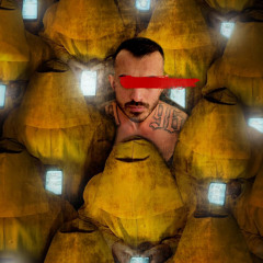 kasra pourgeramii