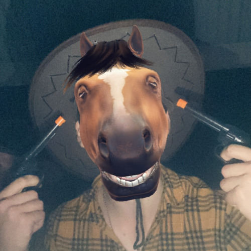 Horse’s avatar