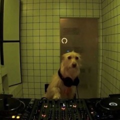 eliix