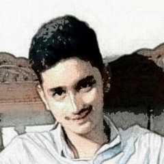 john Ali zaidi