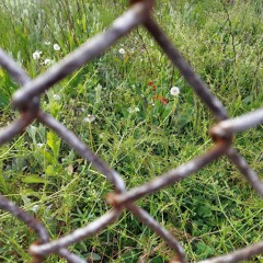 Dead Flowers Are Still Flowers