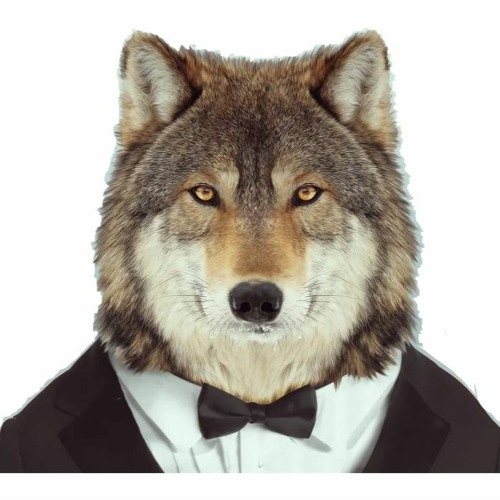 Mads Wolfe’s avatar