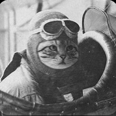 Женя Кот