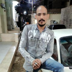 سلامه الميكانيكي