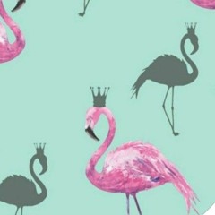 Flamingo 💖