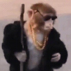 Funkey Monkey
